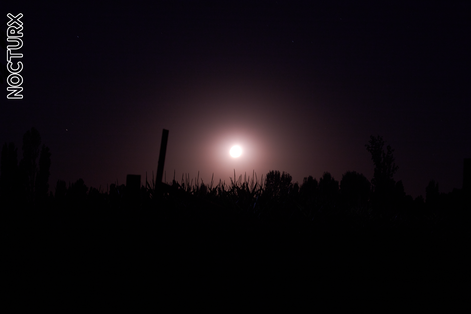 Luna llena, sobre el horizonte de una zona rural