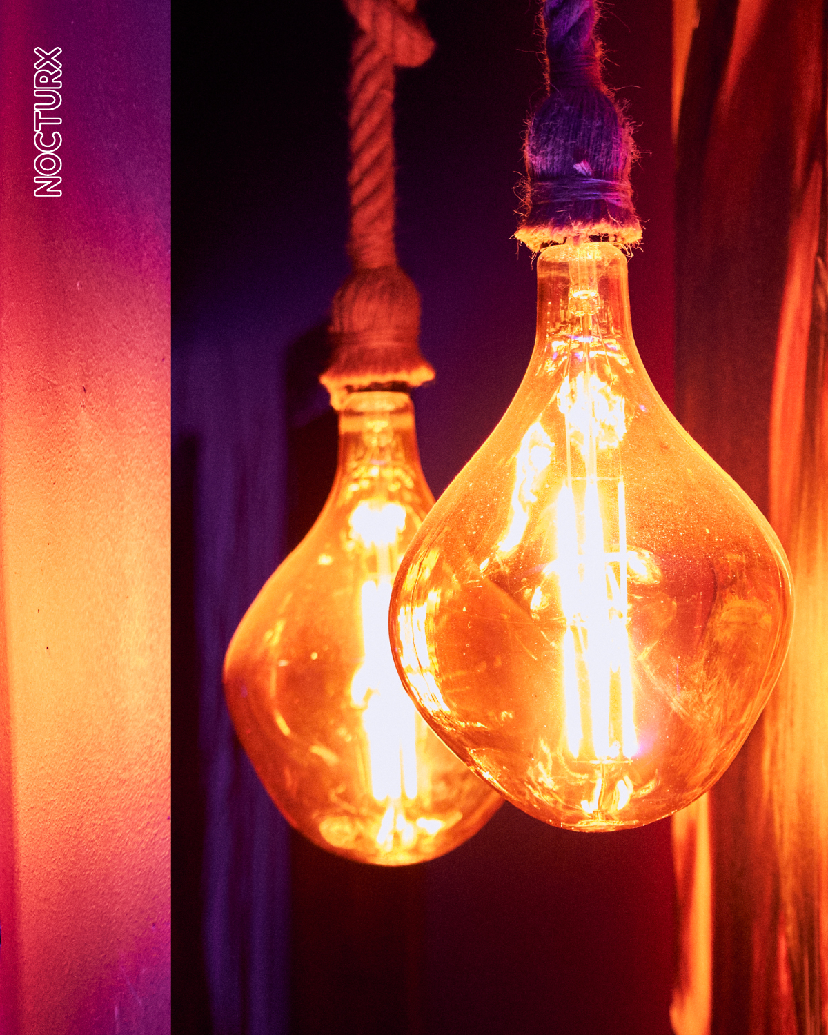 Iluminando la noche