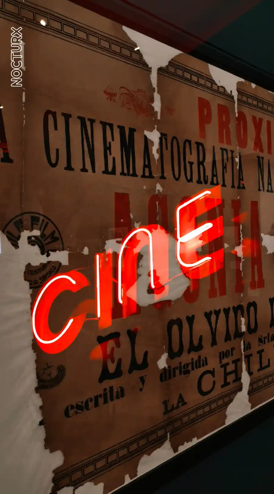 Une Soirée au Cinéma